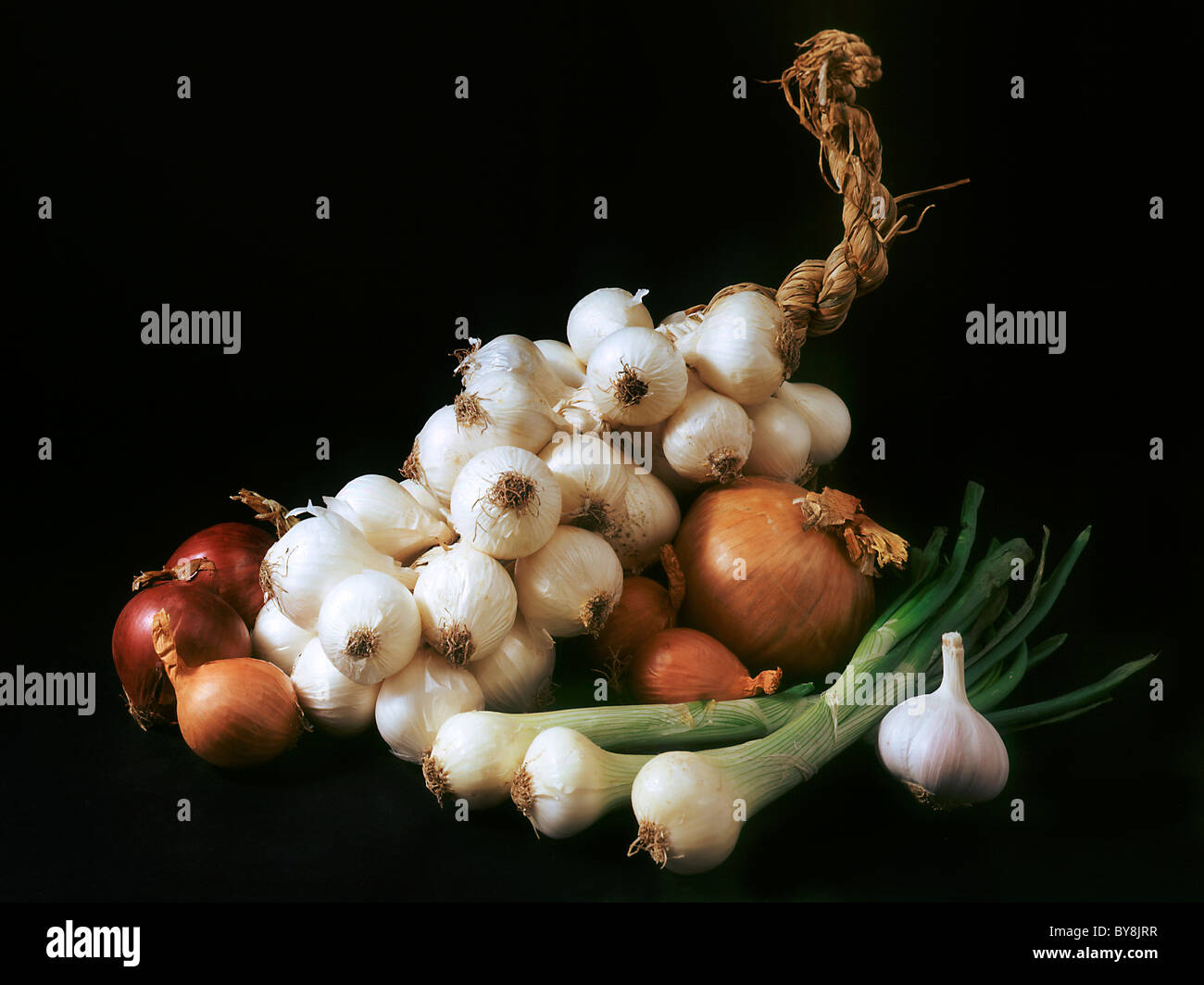 Artistic onions hi-res stock photography and images - Alamy