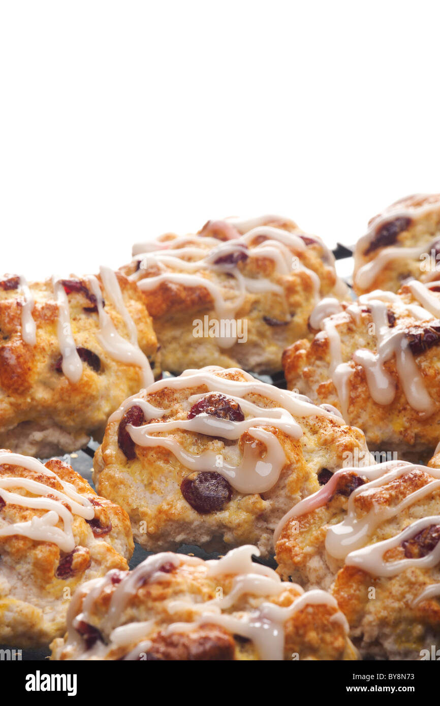 Scones with dried cranberries close up on a cooling rack. Stock Photo