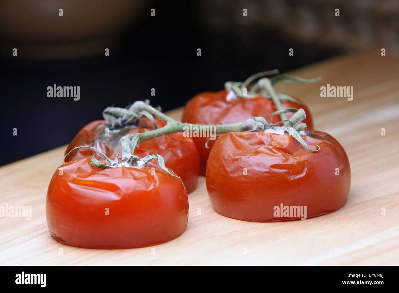 Four rotting tomatoes on a chopping board Stock Photo - Alamy