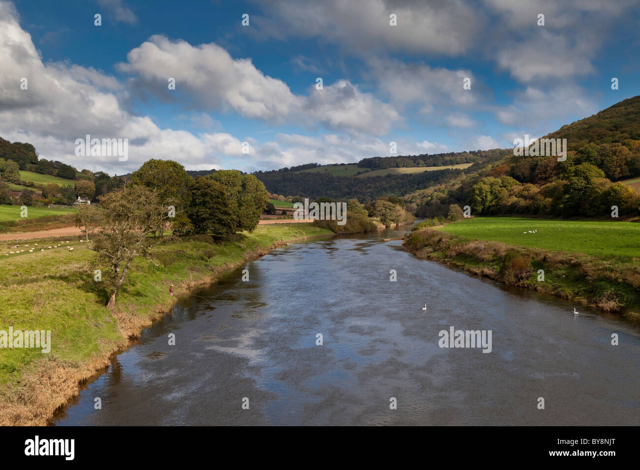 MEN FISHING FOR SALMON ON RIVER WYE UPSTREAM FROM BIGSWEIR BRIDGE WALES