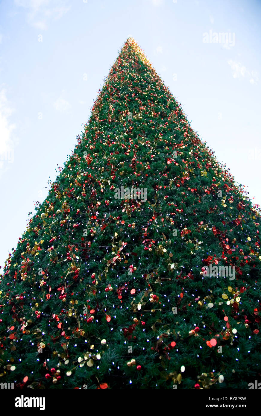 Tall outdoor Christmas Tree Stock Photo Alamy