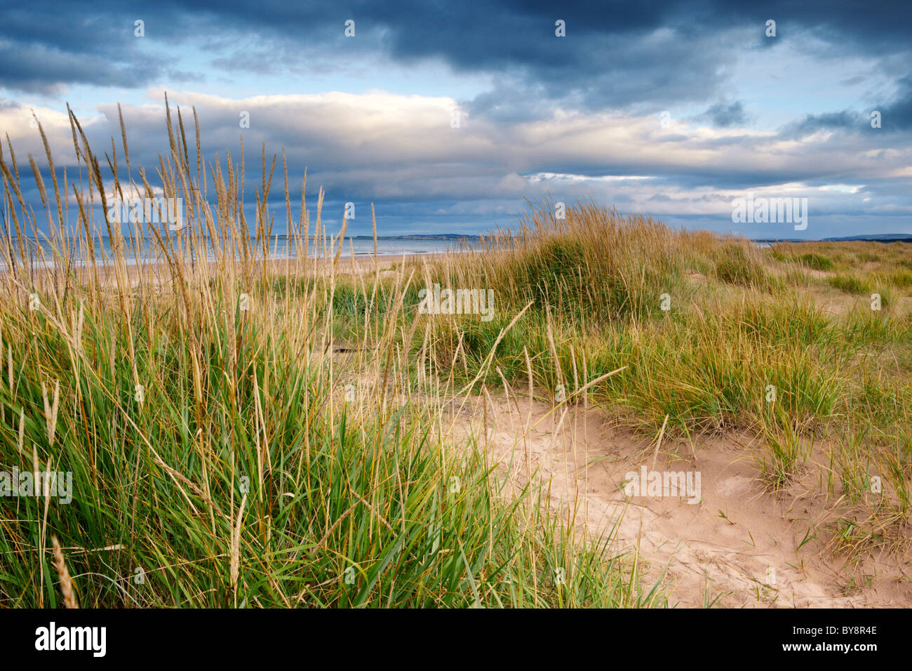 Beach and sand dunes at Dornoch, Highland Scotland Stock Photo