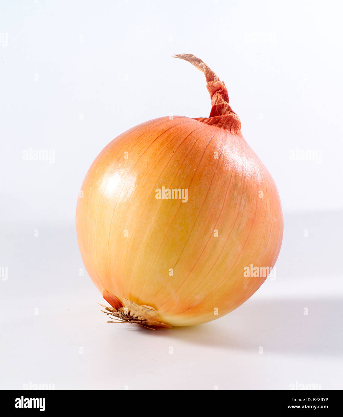 Onion skin hi-res stock photography and images - Alamy