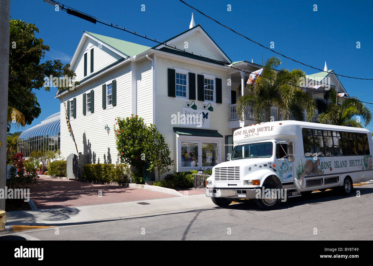 The Key West Butterfly & Nature Conservatory, Key West, Florida Stock