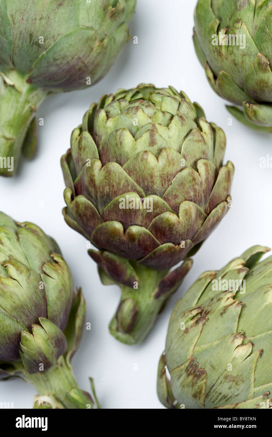 Artichoke Stock Photo