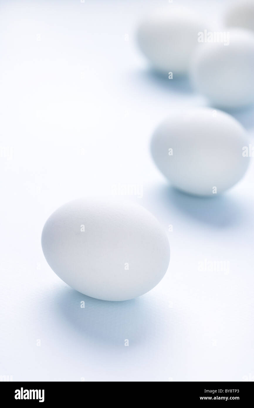 Egg on blue background Stock Photo
