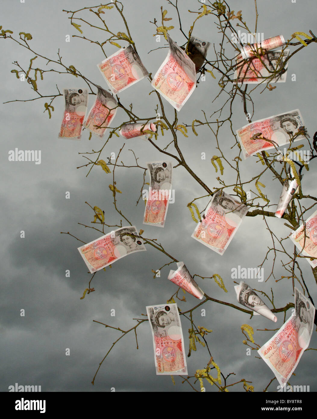 It is an old saying in the UK that money does not grow on trees - here it appears that it does. Stock Photo