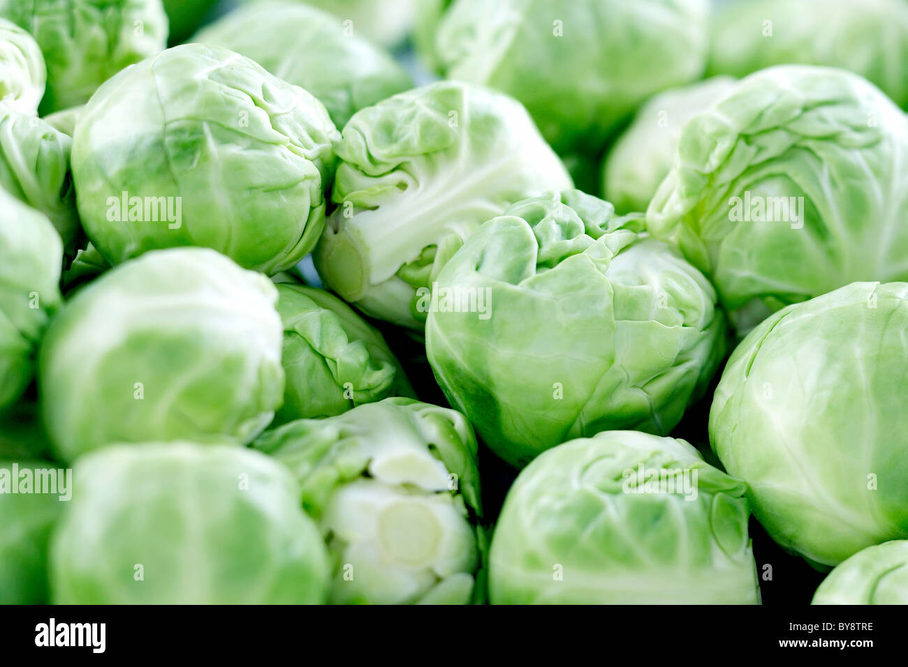 Brussel Sprouts full frame Stock Photo