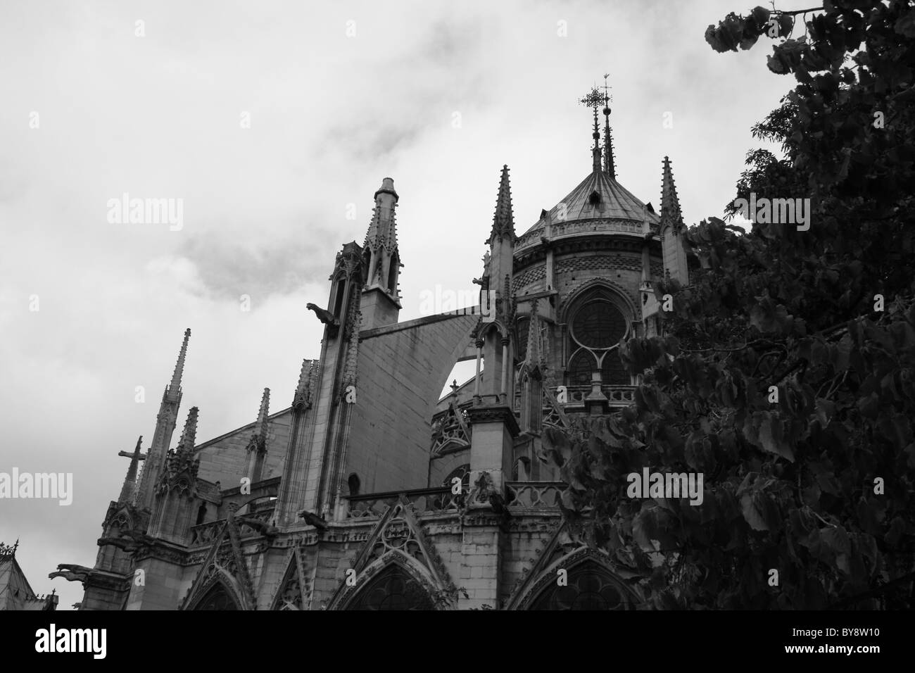 Notre Dame - Paris Stock Photo