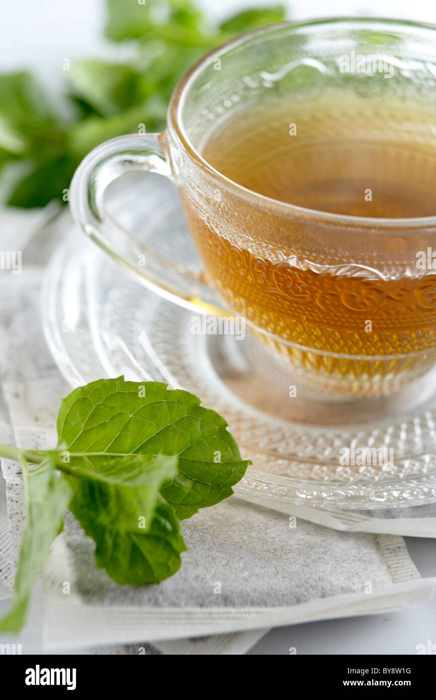 Mint tea in glass tea cup on mint tea bags surrounded with mint leaves Stock Photo