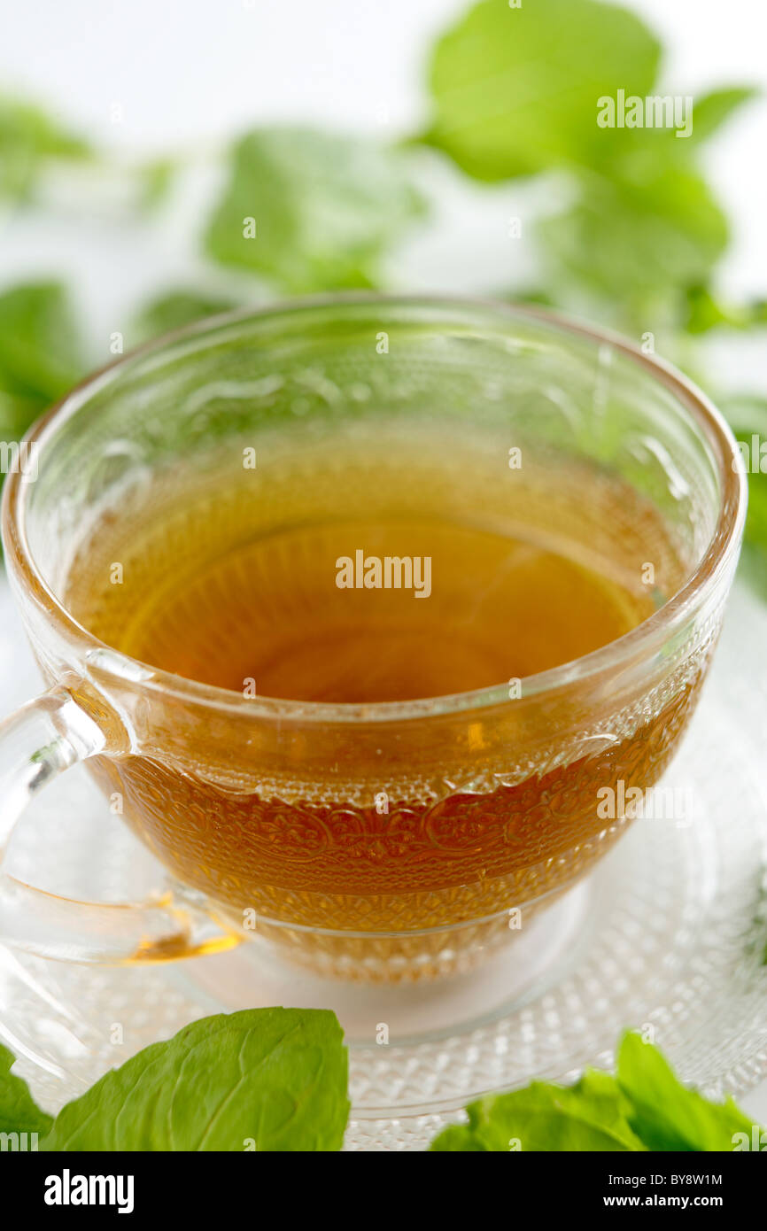 Mint tea in glass tea cup surrounded with mint leaves Stock Photo