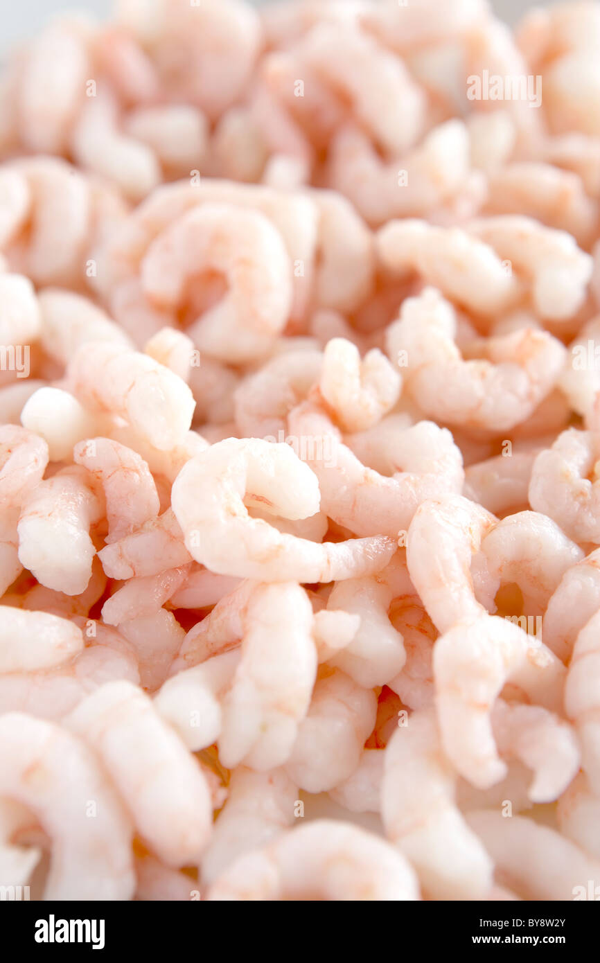 Peeled prawns full frame Stock Photo