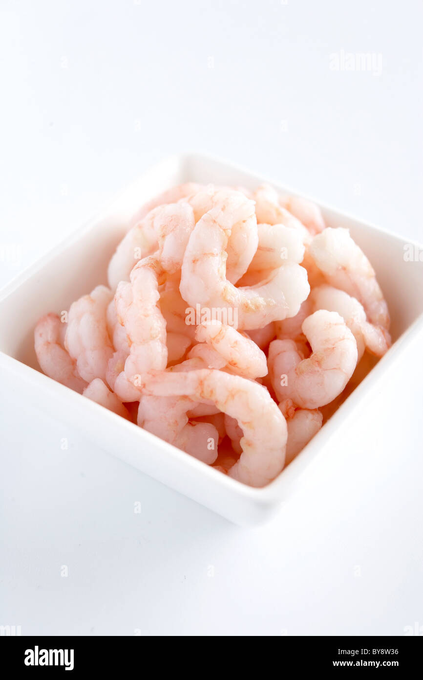 Peeled prawns in square white bowl Stock Photo