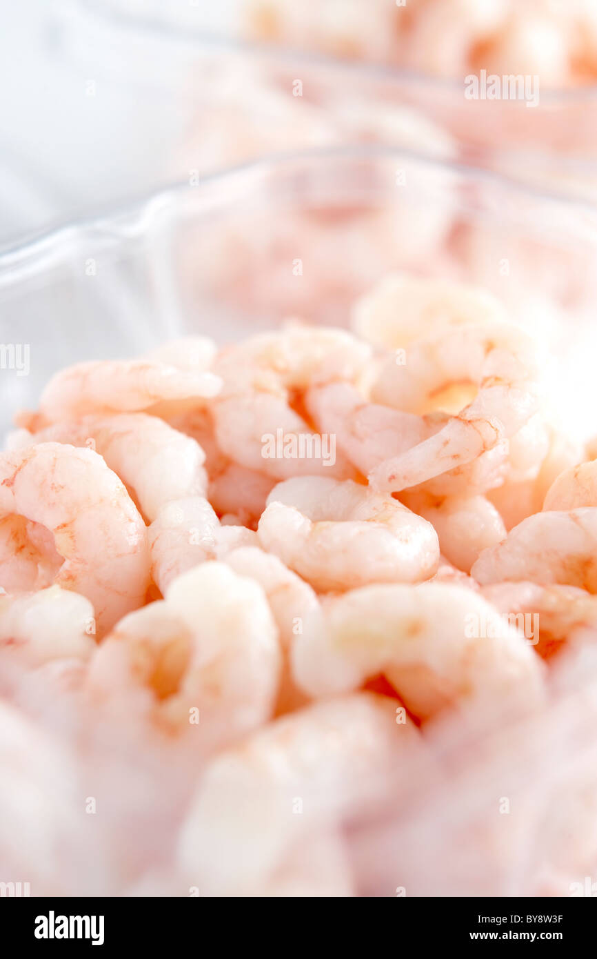 Peeled prawns in plastic container Stock Photo