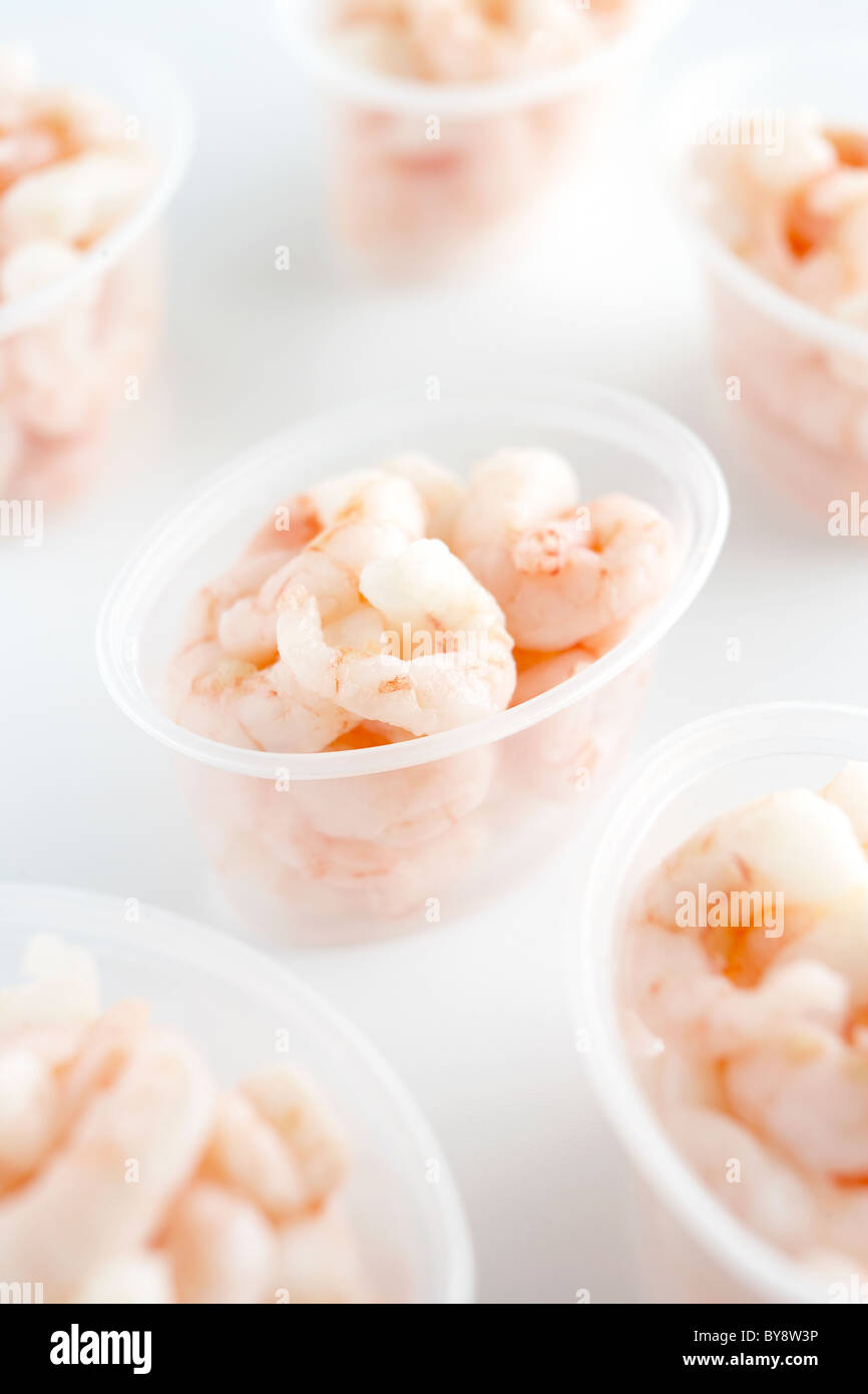 Peeled prawns in plastic containers Stock Photo
