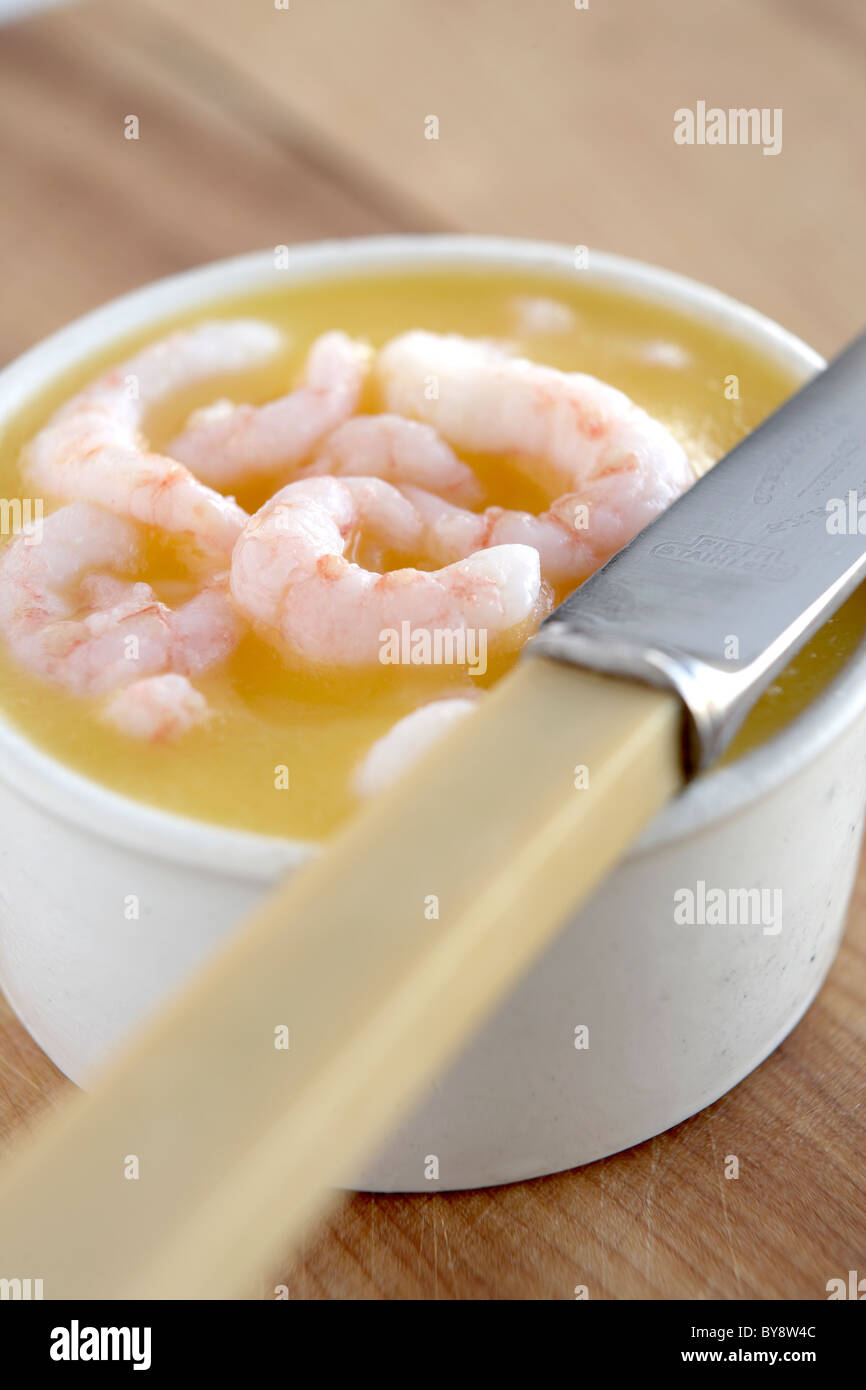 Potted prawns in white dish Stock Photo