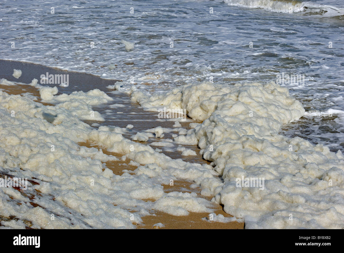 Sea foam / ocean foam / beach foam formed during stormy conditions and following an algal bloom Stock Photo
