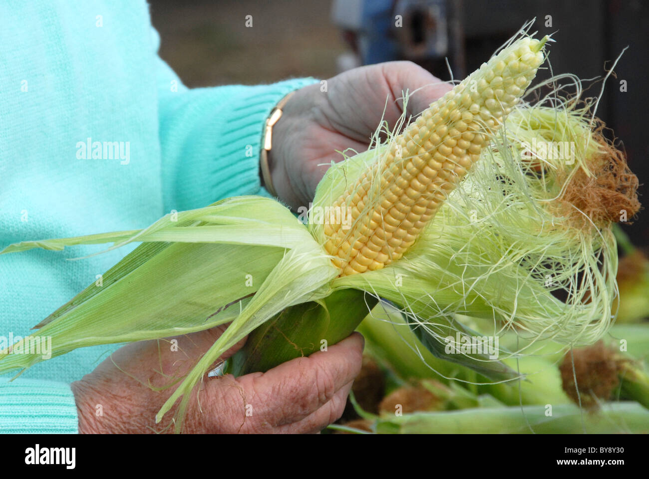 Shucking corn from the cob Stock Photo Alamy