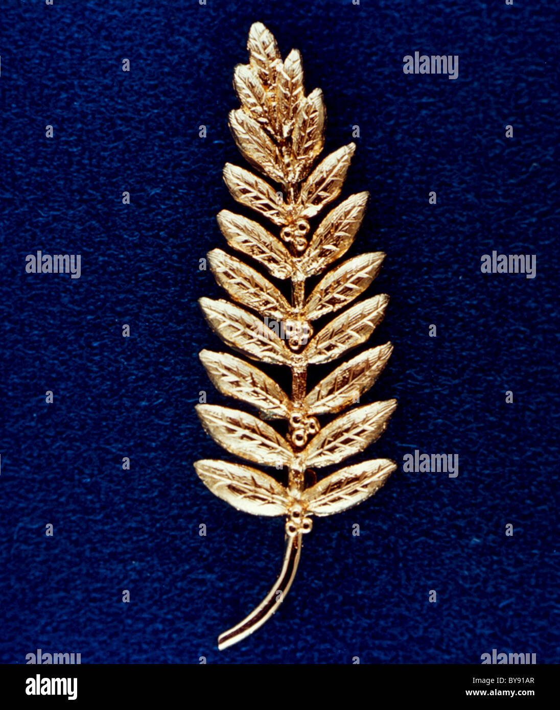 Replica of an olive branch left on the Moon's surface by Apollo 11 crew members. Stock Photo