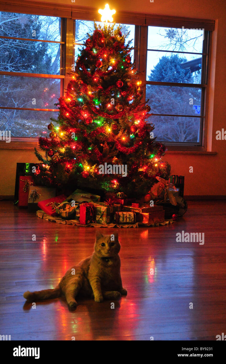 Christmas Tree with decorations Stock Photo Alamy