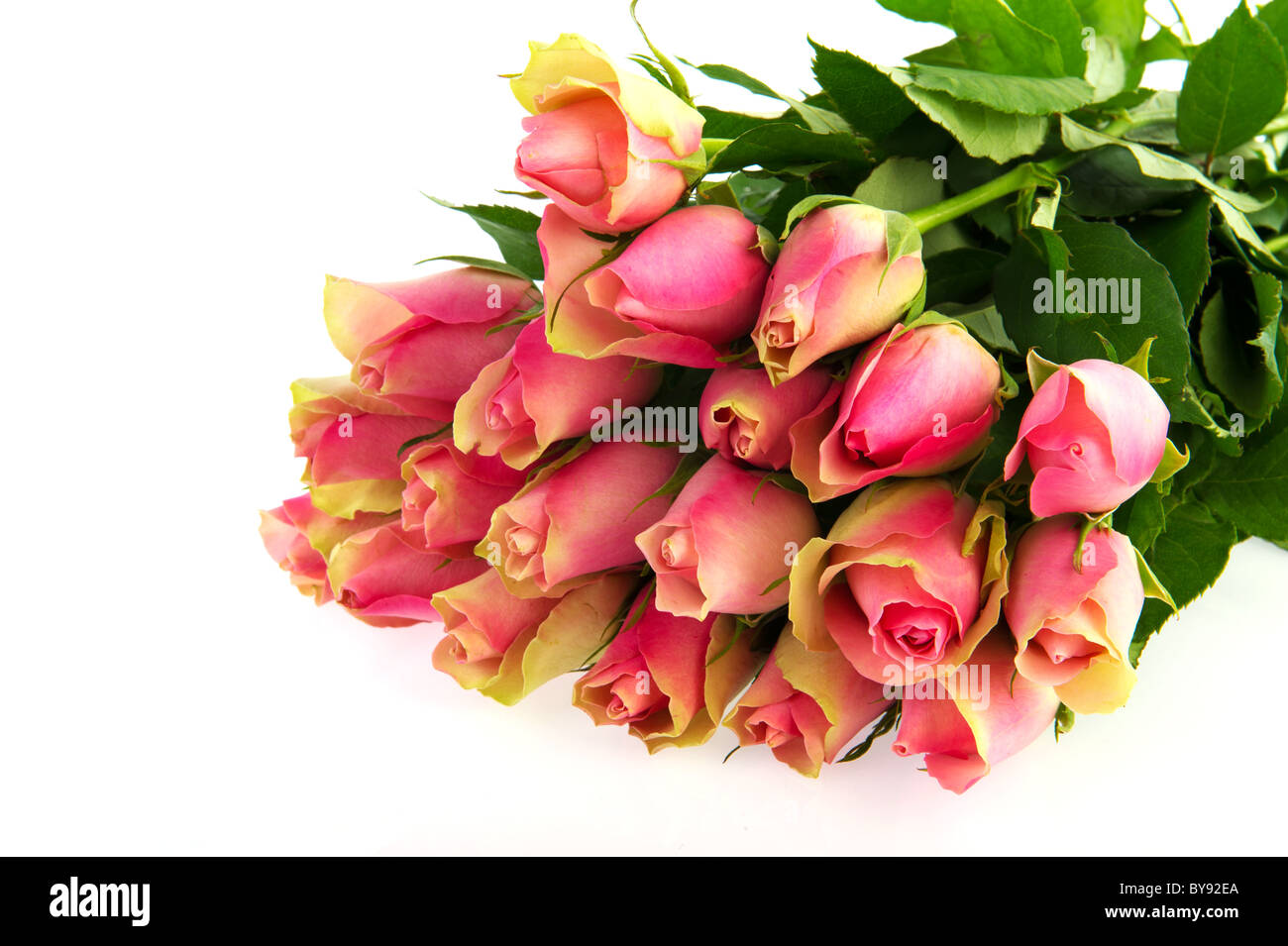 Bouquet pink roses isolated on white background Stock Photo - Alamy