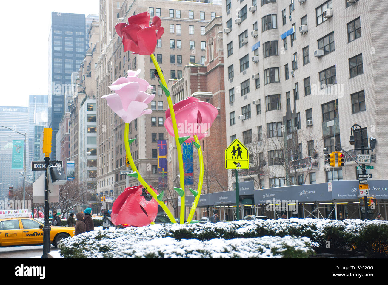 'Roses' by the artist Will Ryman is seen on a snowy Tuesday, January 25, 2011 installed on the Park Avenue medians in New York Stock Photo