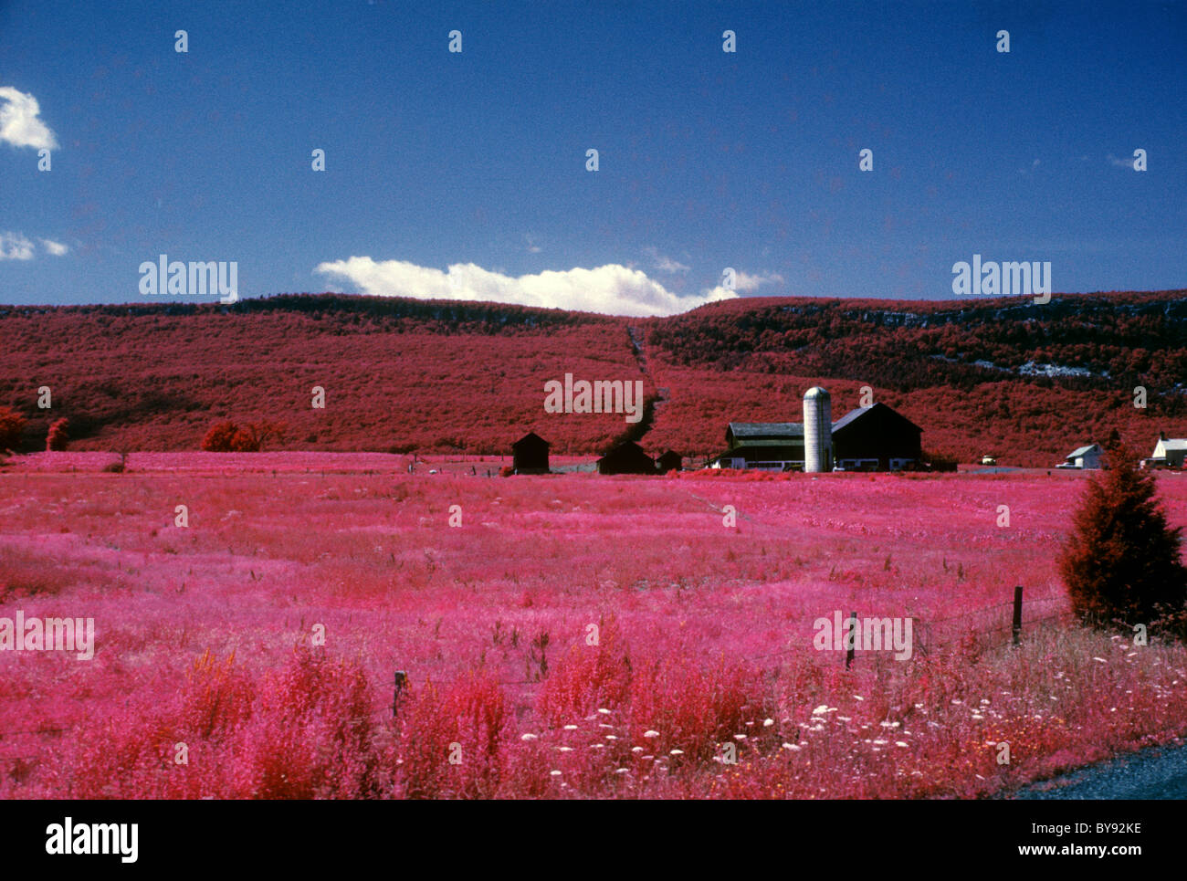 Rural landscapes in Upstate New York in Sullivan County photographed on
