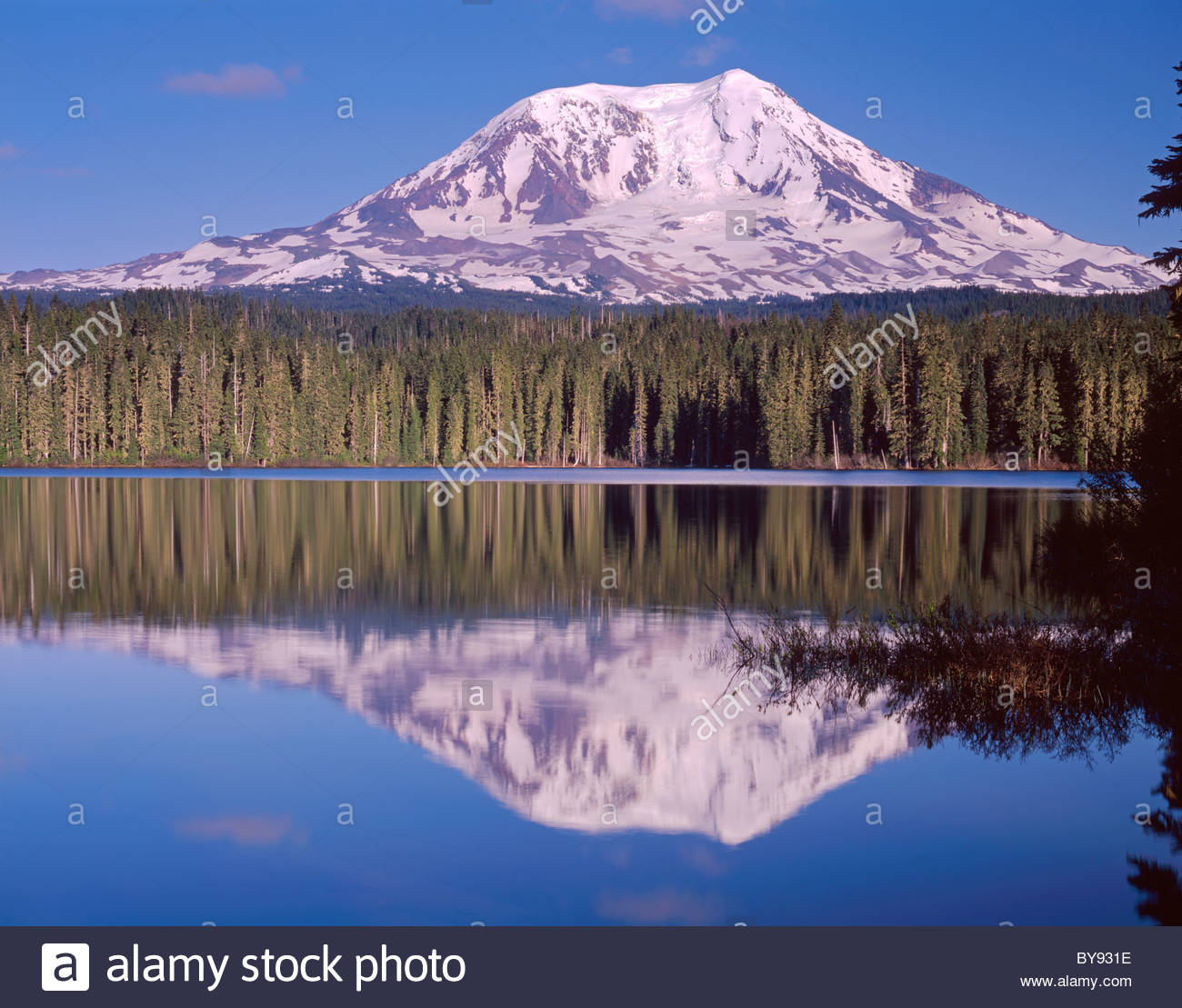 Mt Adams Cascade Mountains Washington Stock Photos & Mt Adams Cascade