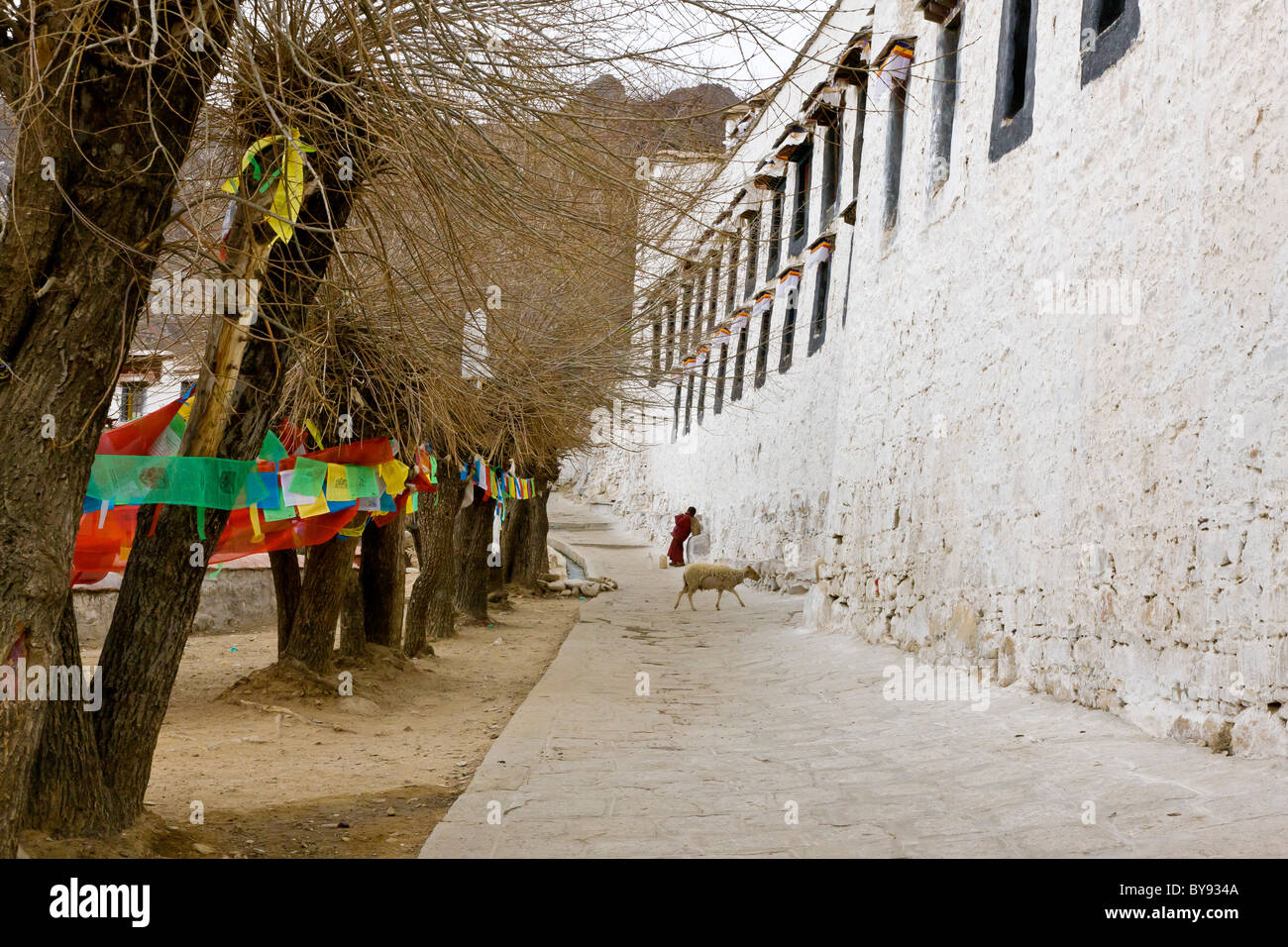 Walls of Drepung Monastery, Lhasa, Tibet. JMH4510 Stock Photo