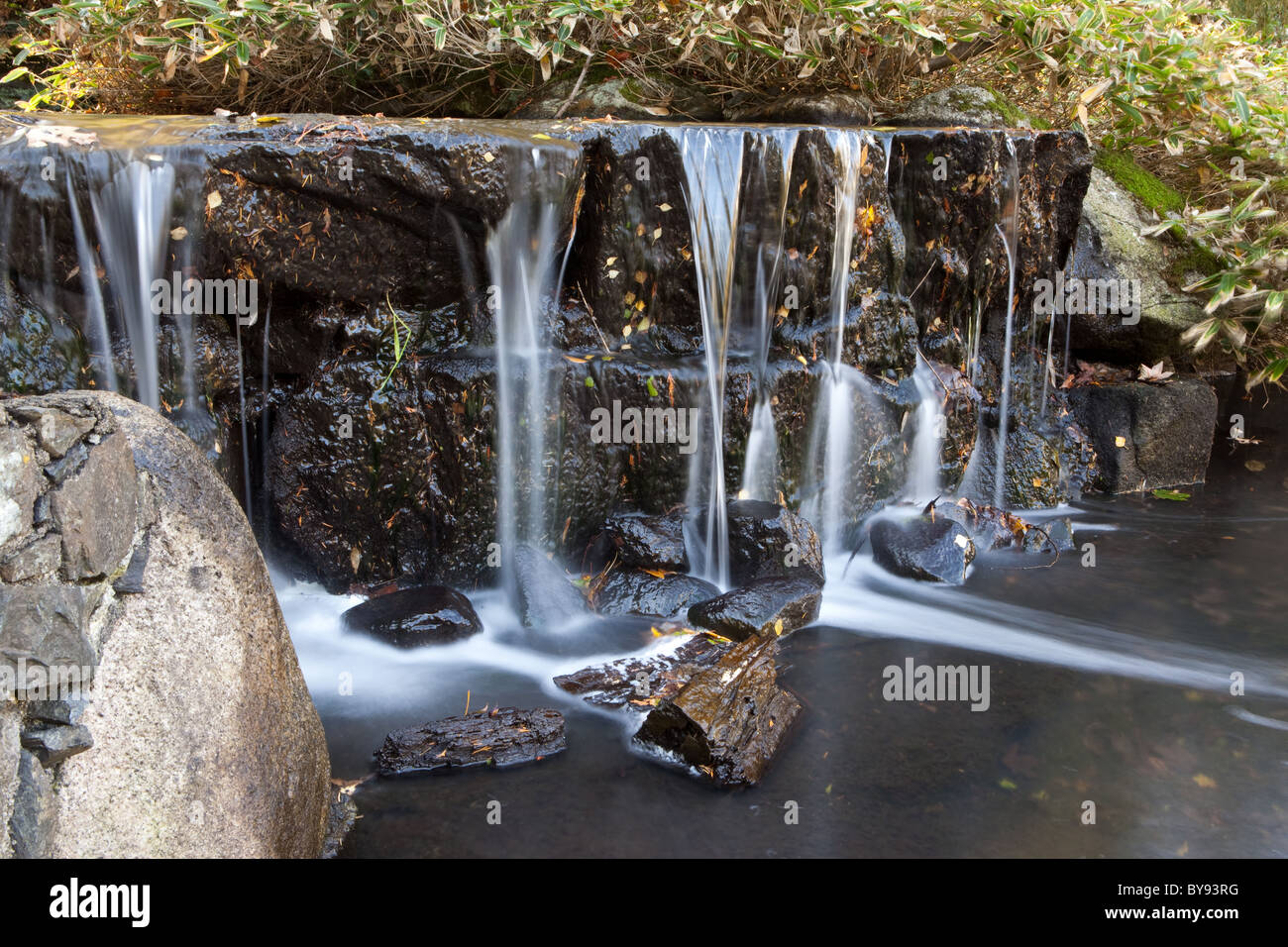Beacon hill park hires stock photography and images Alamy
