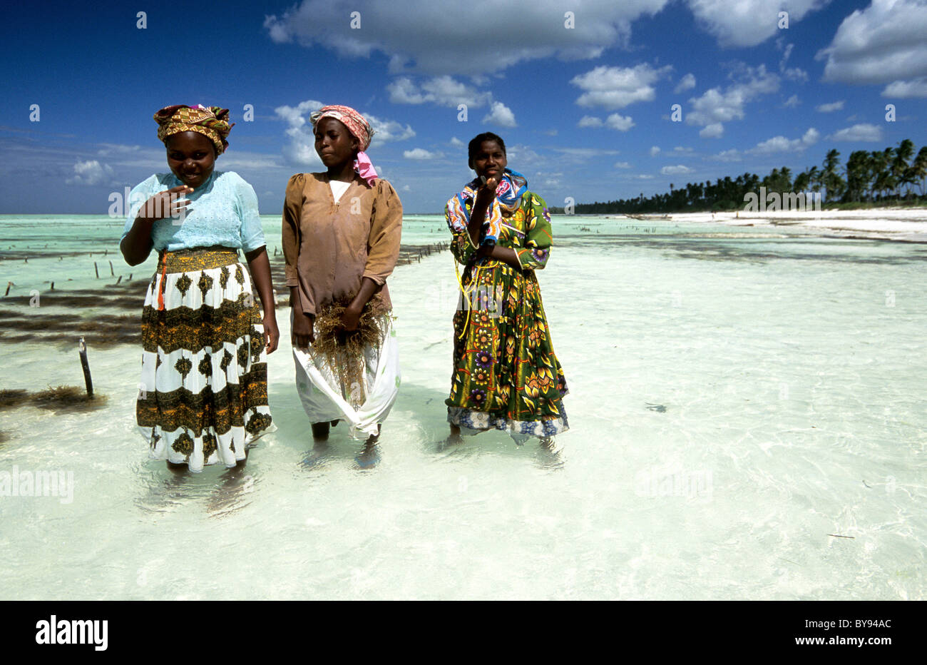knee length dresses for ladies ZANZIBAR dress (Cruise Collection) FINAL SALE