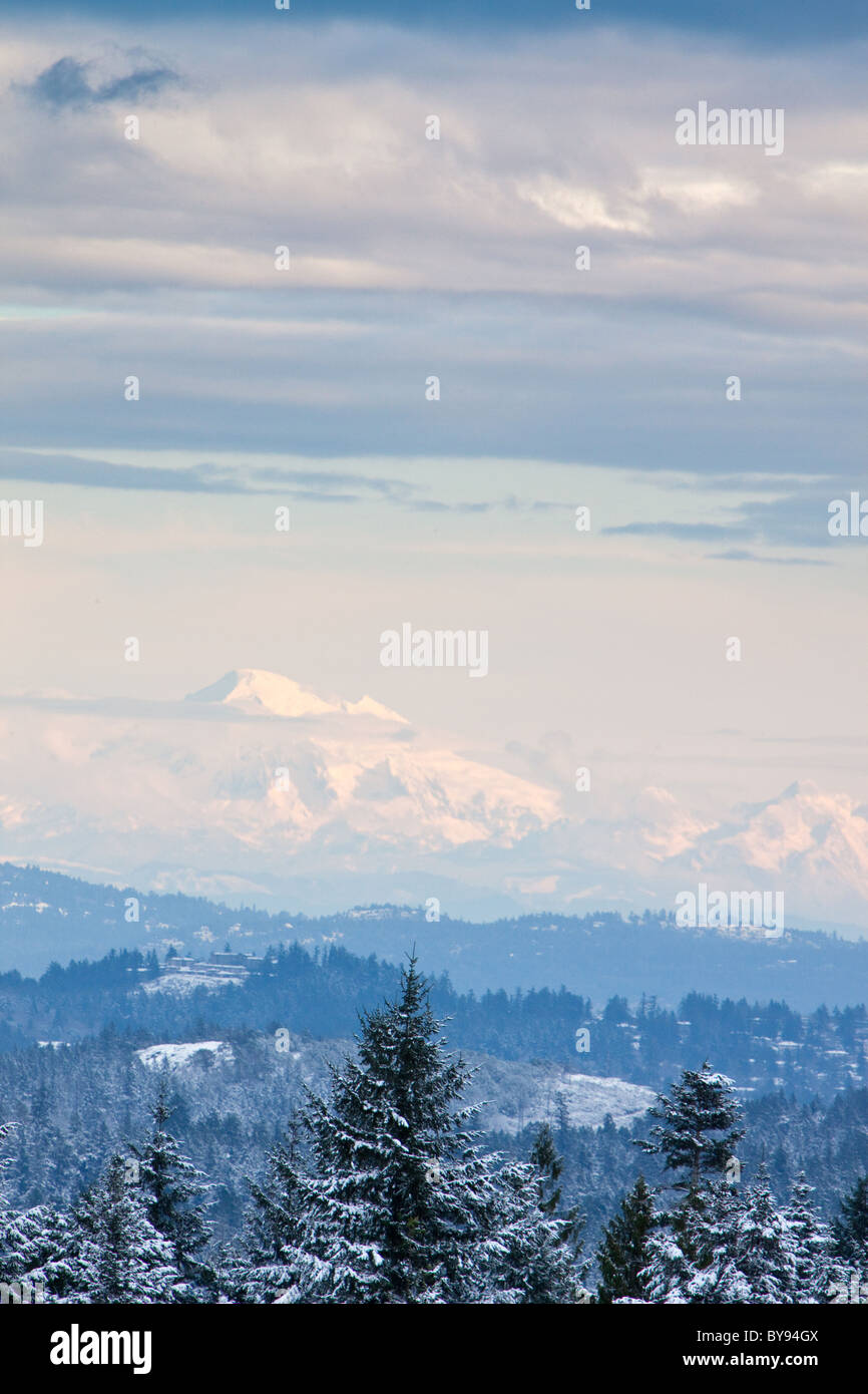 Mt Baker and Twin Sisters Mountain in Washington state, USA, seen from the top Bear Mountain in Langford, BC, Canada. Stock Photo