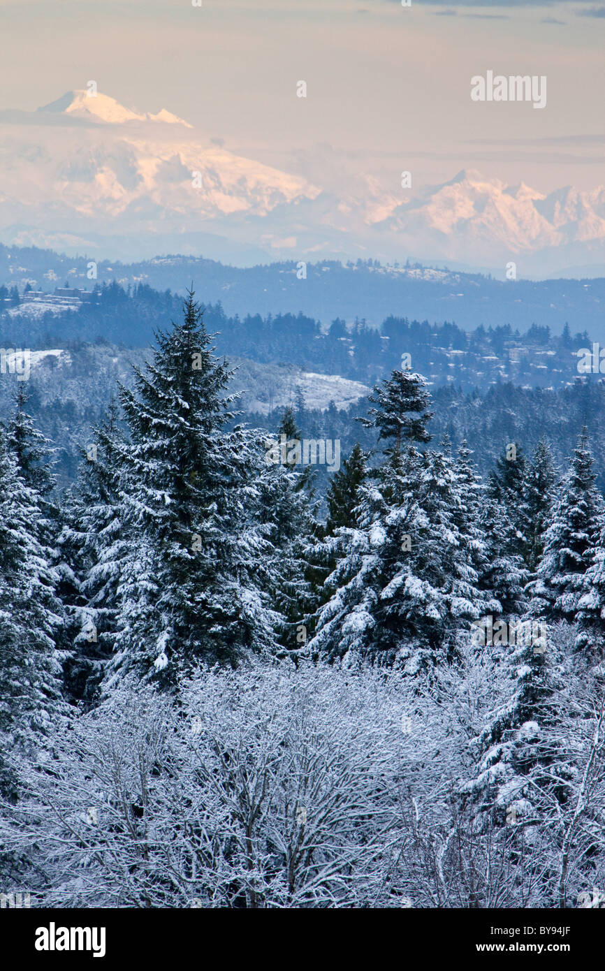 Mt Baker and Twin Sisters Mountain in Washington state, USA, seen from the top Bear Mountain in Langford, BC, Canada. Stock Photo