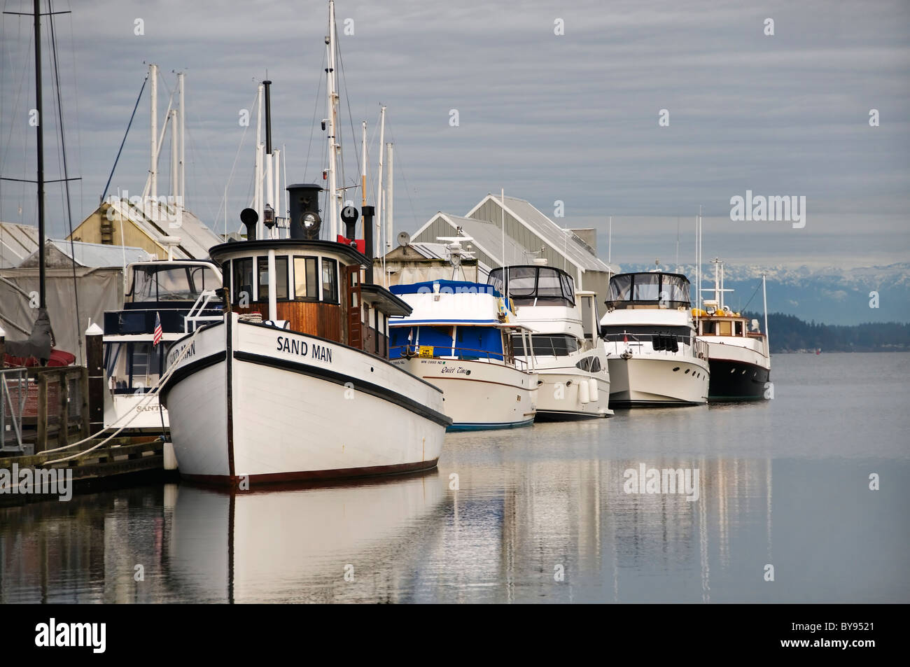 The restored historical tugboat Sand Man and modern yachts are moored in Budd Bay during an extreme king tide in Olympia. Stock Photo