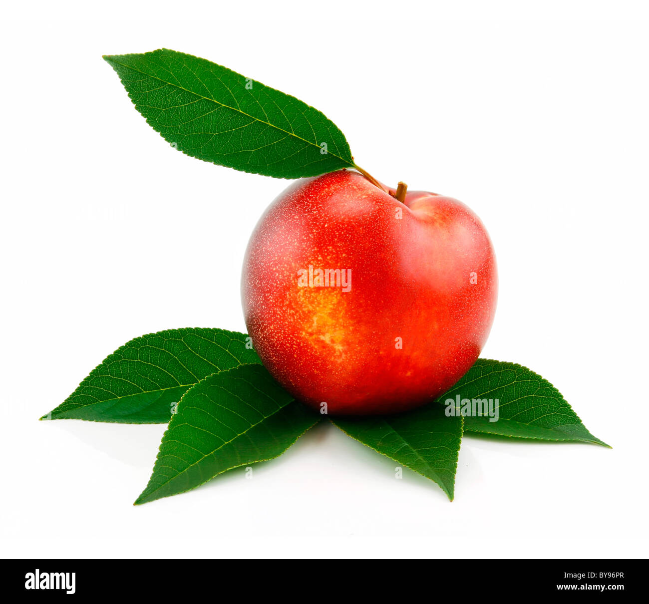 Ripe Peach (Nectarine) with Green Leafs Isolated on White Stock Photo