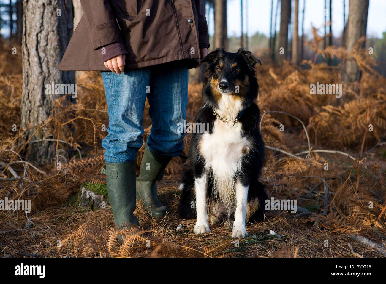 Women and dog in Countryside Single adult female and Male adult dog New  Forest, Hampshire, UK Stock Photo - Alamy