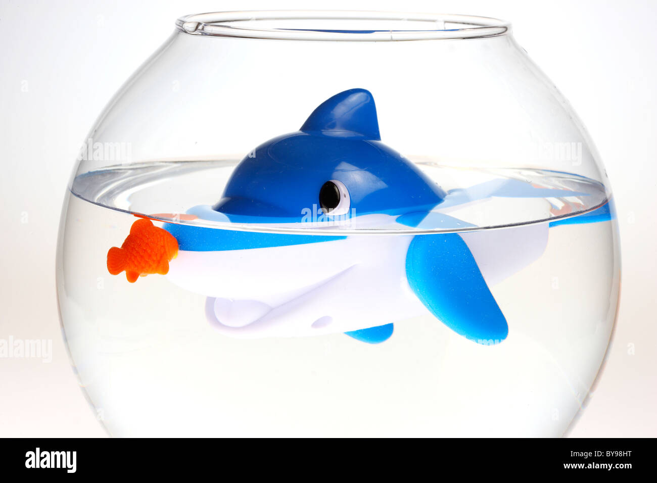 Dolphin, plastic wind up toy, in a fish bowl Stock Photo - Alamy