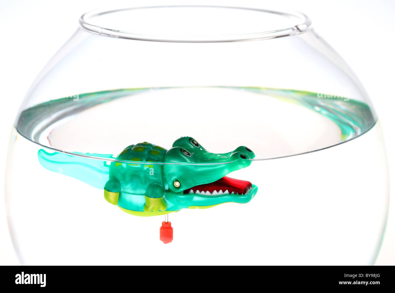 Alligator, crocodile, wind up toy, plastic, in a fish bowl Stock Photo