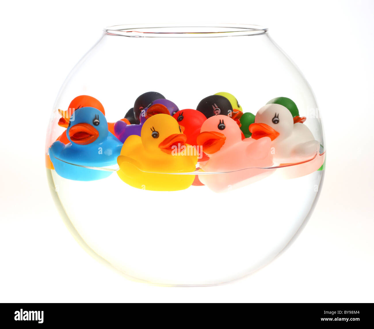 Rubber ducks in a fish bowl. Stock Photo