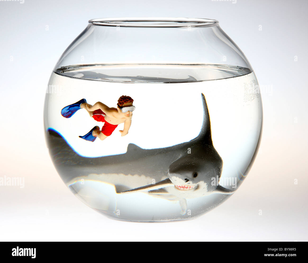 Diver and shark in a fish bowl Stock Photo Alamy