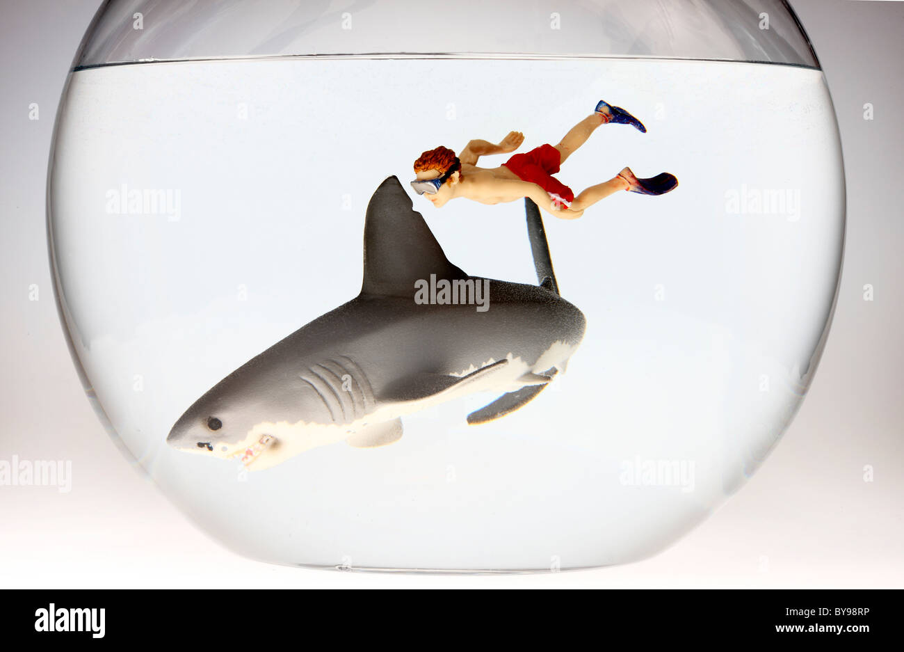 Diver and shark in a fish bowl Stock Photo Alamy