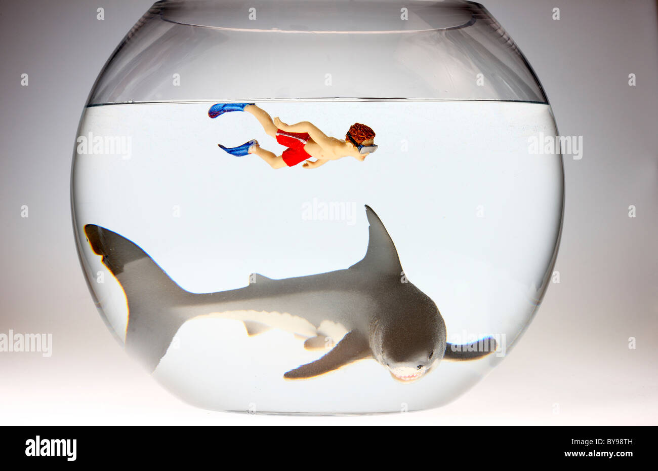 Diver and shark in a fish bowl Stock Photo Alamy