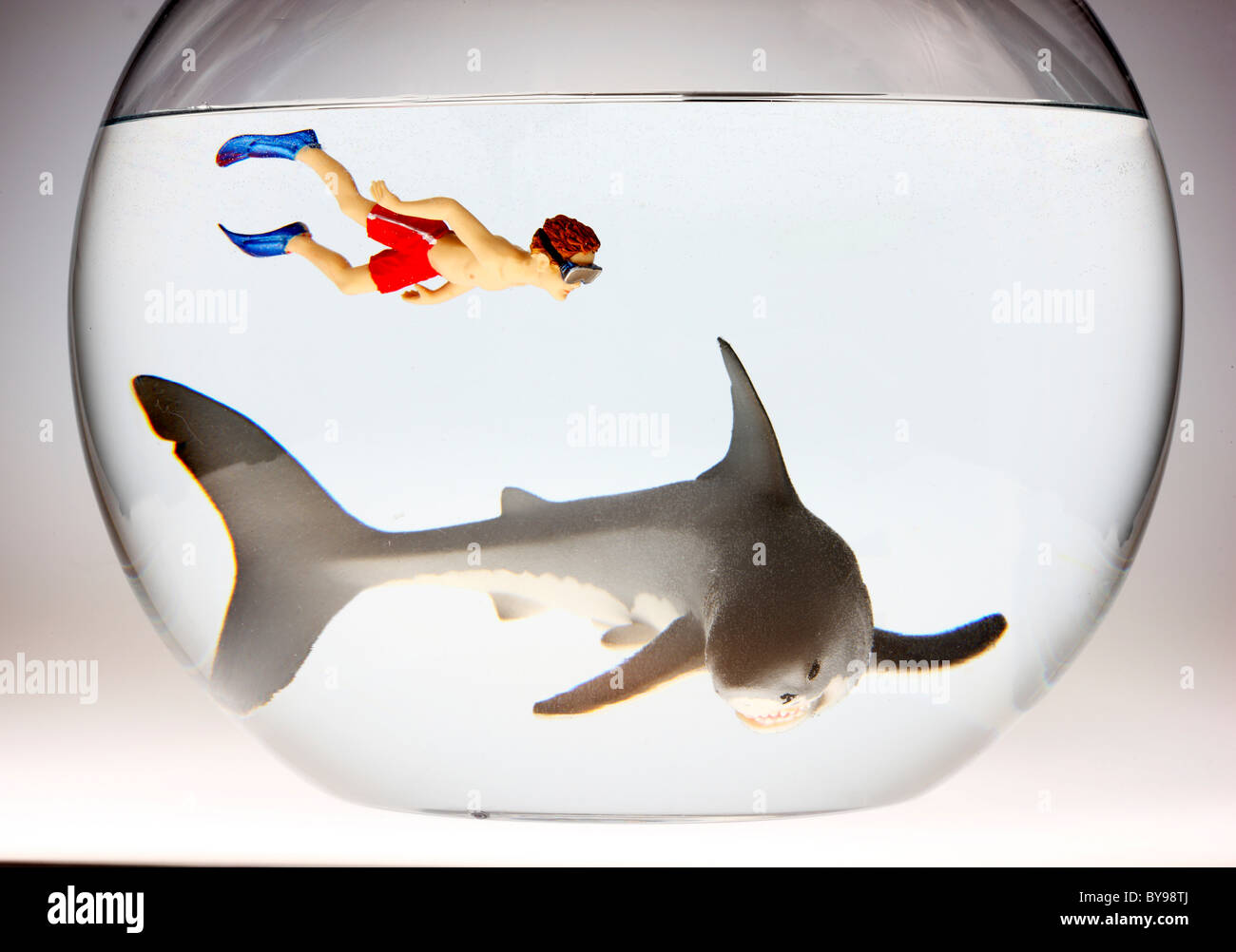 Diver and shark in a fish bowl Stock Photo Alamy