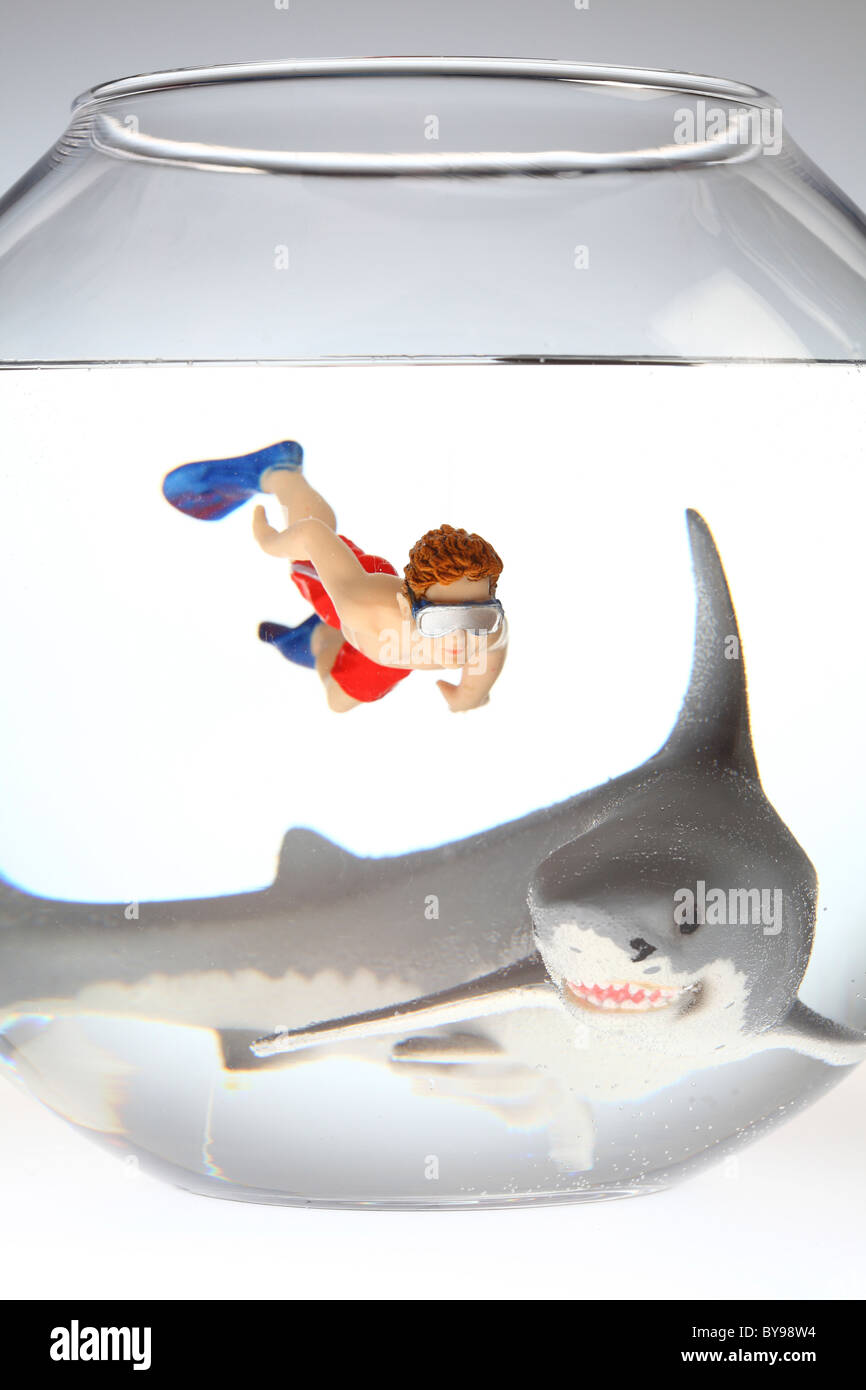 Diver and shark in a fish bowl Stock Photo Alamy
