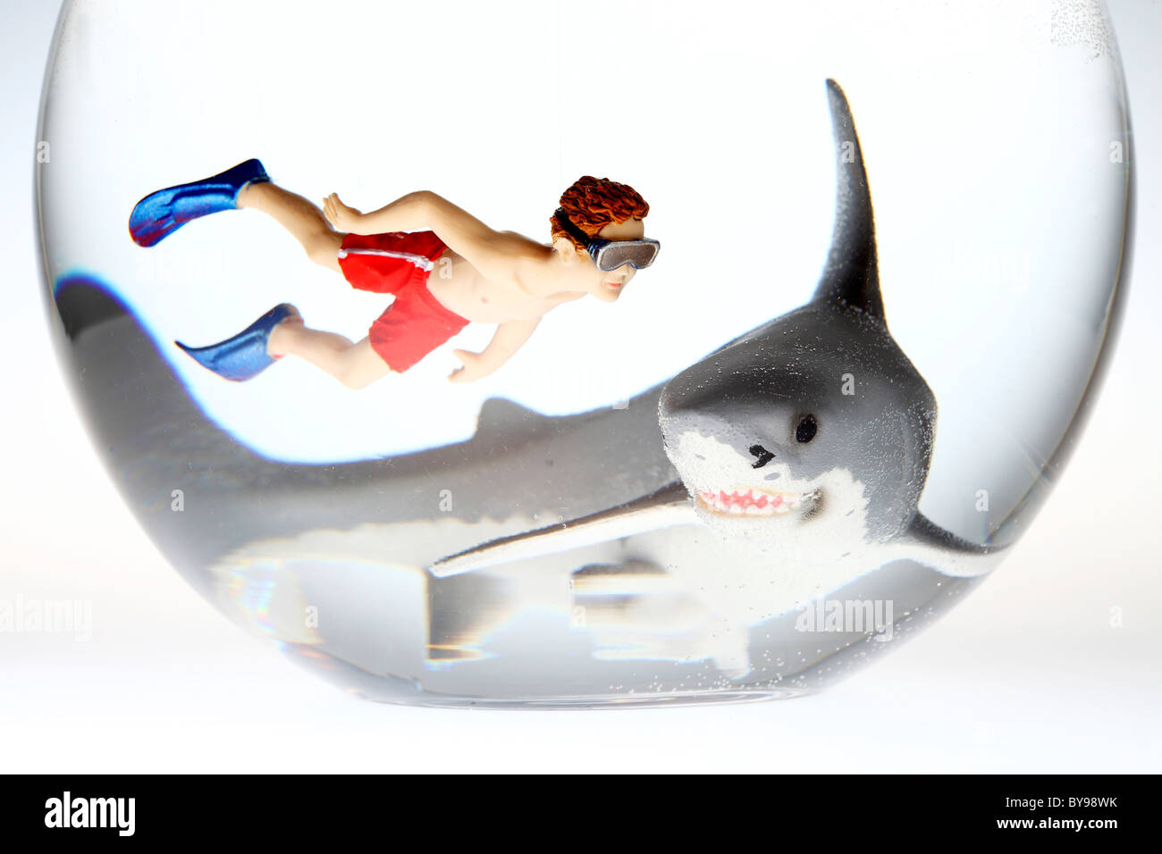 Diver and shark in a fish bowl Stock Photo Alamy