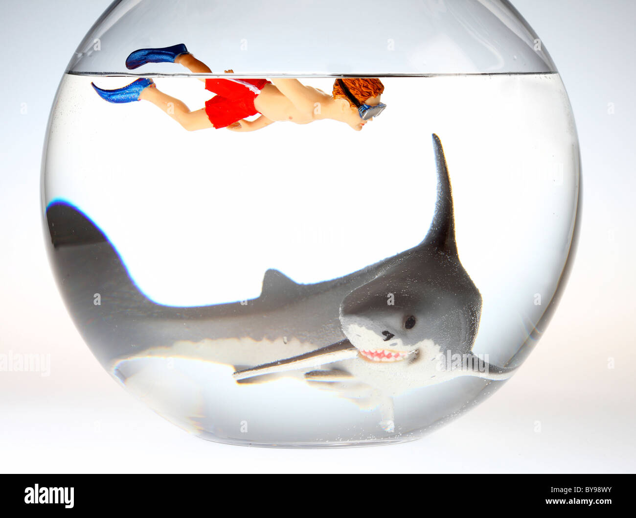 Diver and shark in a fish bowl Stock Photo Alamy
