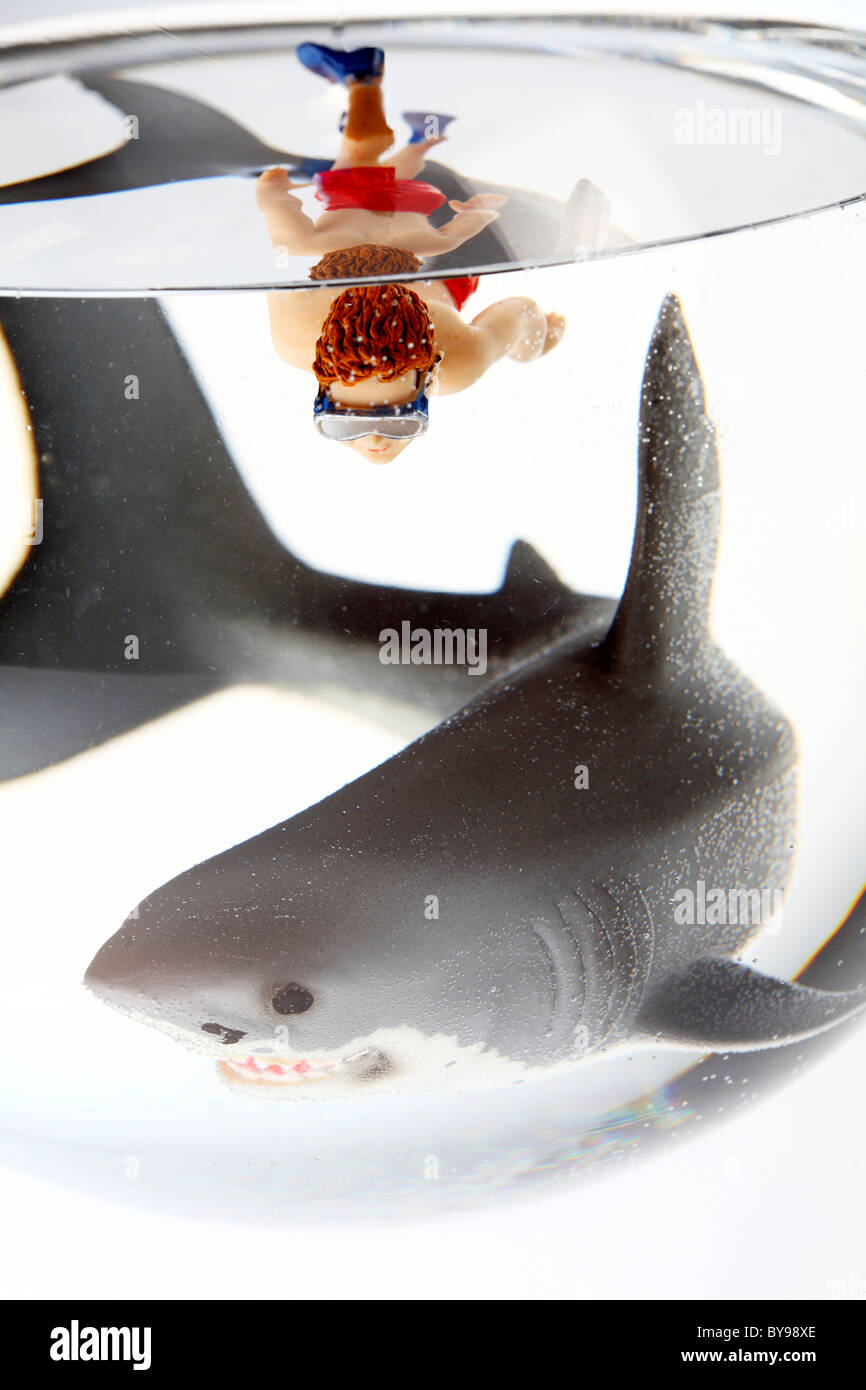 Diver and shark in a fish bowl Stock Photo Alamy