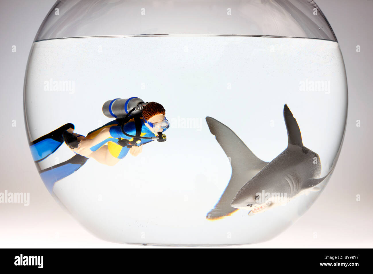 Diver and shark in a fish bowl Stock Photo Alamy