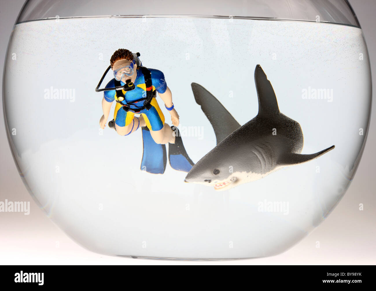 Diver and shark in a fish bowl Stock Photo Alamy