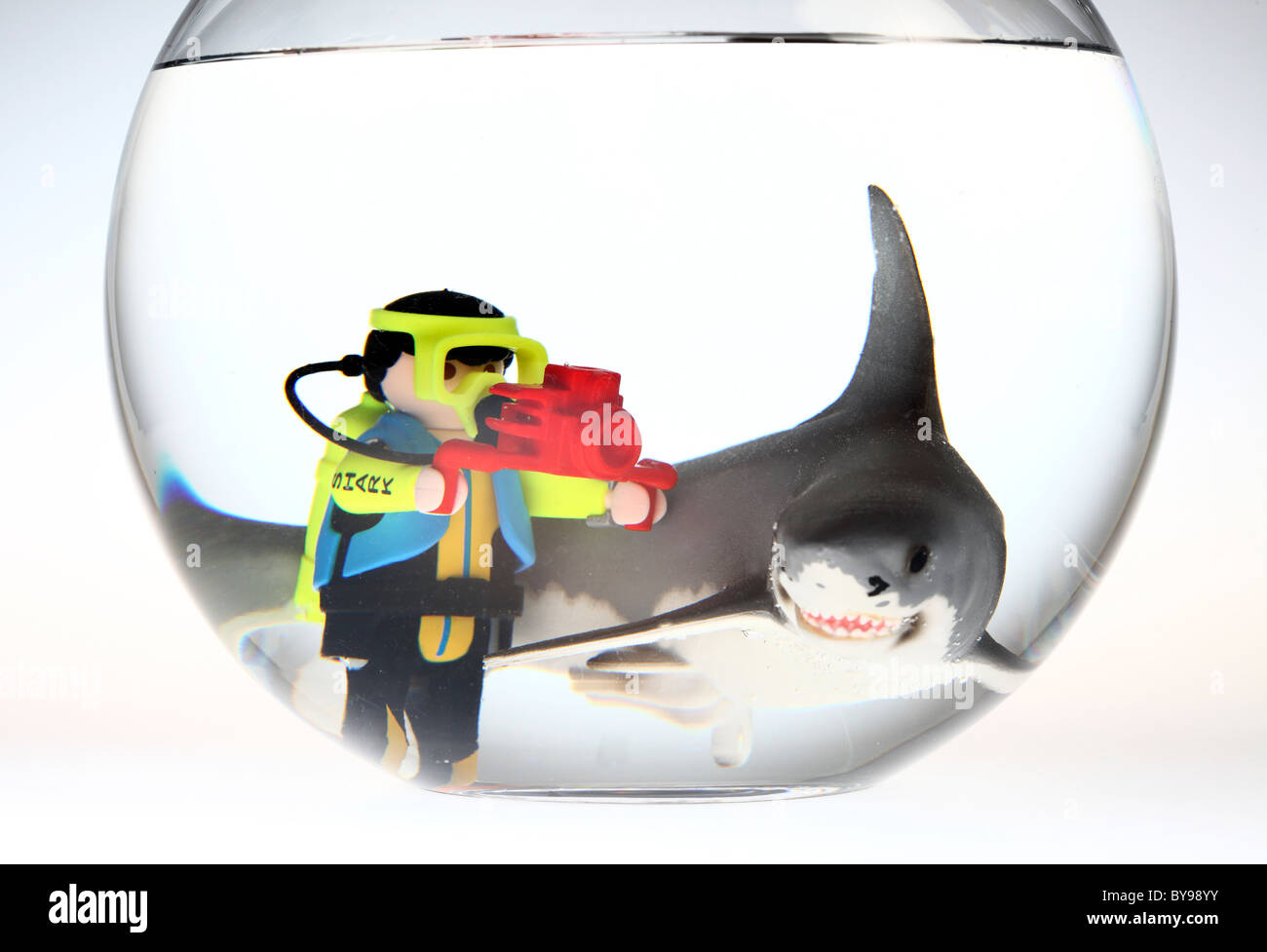 Diver taking underwater photos of a shark, in a fish bowl Stock Photo